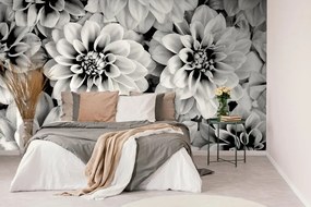 Fototapet flori de dalia în design alb-negru