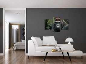 Tablou - Portret de gorilă (90x60 cm)