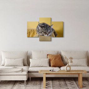 Tablou cu pisica pe fotoliu (90x60 cm)