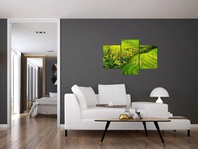 Tablou - Terase de orez (90x60 cm)