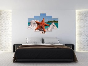 Tablou cu stea de mare (150x105 cm)