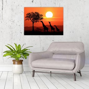 Tablou pe sticlă cu girafe în apus de soare (70x50 cm)