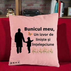 Cadou pentru Bunic - Perna Personalizata Bunicul Meu Izvor de Liniste cu Fluture si Baietel, 40x40 cm, Roz, Husa Detasabila, Perna Inclusa, BEKZ®