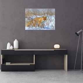 Tablou - Vulpe (70x50 cm)