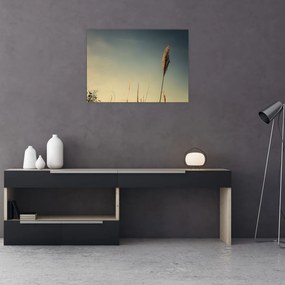 Tablou pe sticlă - Iarba (70x50 cm)