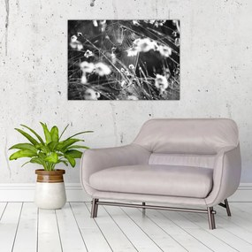 Tablou pe sticlă - Pânza de păianjen în pajiște (70x50 cm)