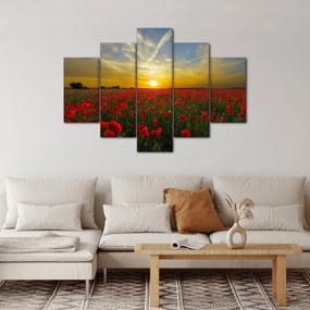 Tablou cu câmp cu maci (150x105 cm)