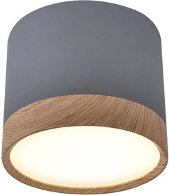 Candellux Tuba lampă de tavan 1x9 W gri 2275925