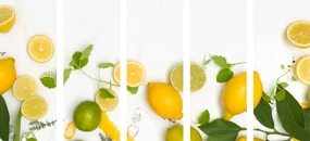 Tablou 5-piese amestec de fructe citrice