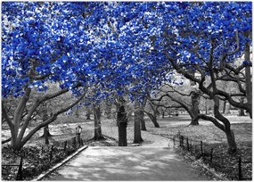 Tablou - Copaci albaștri Central Park, New York (70x50 cm)