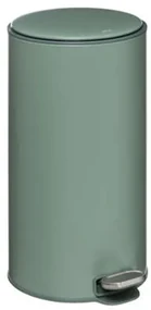 Cos gunoi cu pedala Delta, metalic, verde, 30 litri, 31,5 x 31,5 x 62 cm