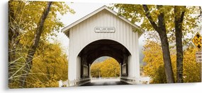 Tablou cu podul în Oregon (120x50 cm)