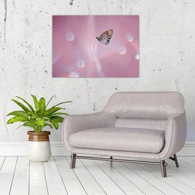 Tablou pe sticlă - Fluturele (70x50 cm)