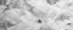 Tablou - Nori de pene (120x50 cm)