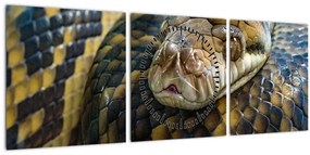 Tablou - Piton (cu ceas) (90x30 cm)