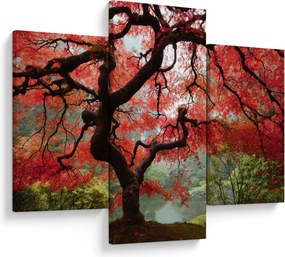 Tablou - Arțarul japonez roșu, Portland, Oregon (90x60 cm)
