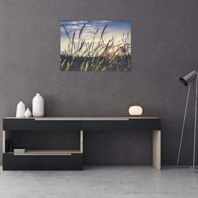 Tablou pe sticlă cu flori de câmp (70x50 cm)