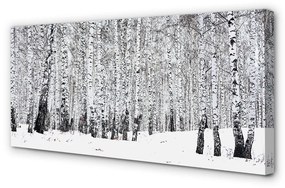 Tablouri canvas mesteceni de iarnă