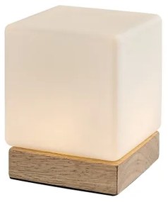 Lampă LED dimabilă de masă Rabalux 76003 PIRIT LED/1,2W/5V 3000K fag