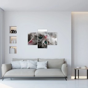 Tablou - Pisica cu ochi verzi (90x60 cm)