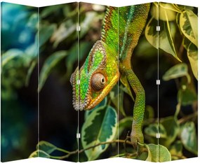 Paravan - Cameleon (210x170 cm)