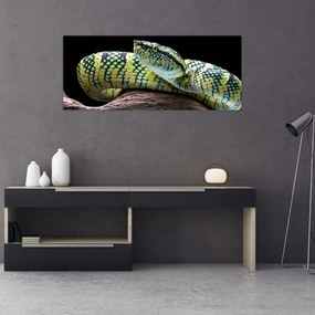 Tablou - Șarpele cu clopoței al lui Wagler (120x50 cm)