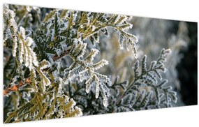 Tablou - Detaliu ramură (120x50 cm)