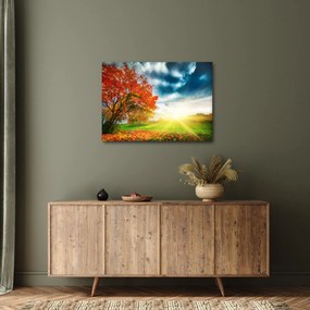 Tablou peisaj cu scufundat în razele solare (70x50 cm)