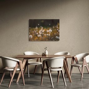 Tablou pe sticlă - Pajiște cu iarbă de cozonac N⁰2 (70x50 cm)