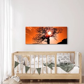Tablou - Fag la apus de soare (120x50 cm)