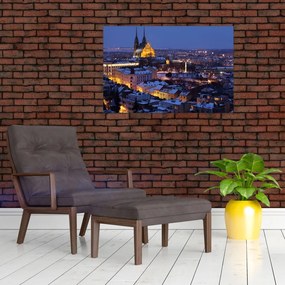 Tablou - Catedrala Sf. Peter și Paul, Brno, Republica Cehă (90x60 cm)