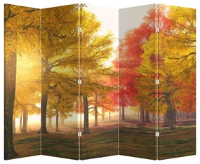 Paravan - Copaci toamna (210x170 cm)