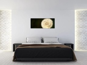 Tablou cu păpădie gri (120x50 cm)