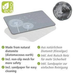 Covoraș de baie gri din diatomit 39x60 cm Astera – Wenko