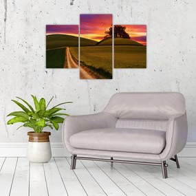 Tablou câmpului cu apus de soare (90x60 cm)