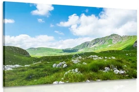 Tablou vale  în Muntenegru
