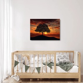 Tablou pe sticlă cu pomi și apus de soare (70x50 cm)