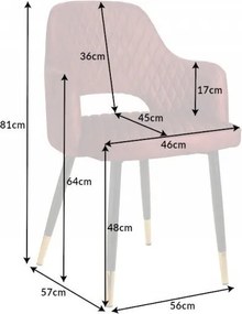 Set de 2 scaune elegante Paris rosu