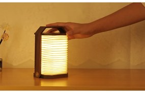 Decorațiune luminoasă albă/în culoare naturală închisă cu USB Origami – Gingko