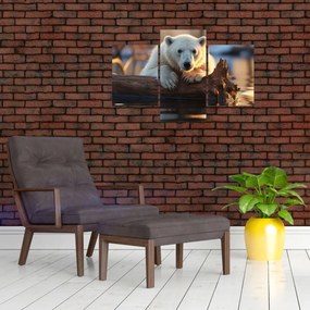 Tablou - Ursul polar (90x60 cm)
