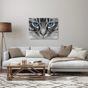 Tablou pe sticlă cu pisica (70x50 cm)