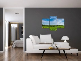 Tablou cu luncă (90x60 cm)