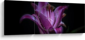 Tablou crinul (cu ceas) (90x30 cm)