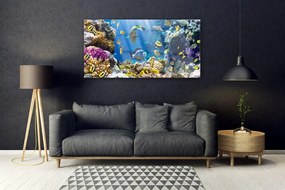 Tablouri acrilice Coral Reef Natura Multi