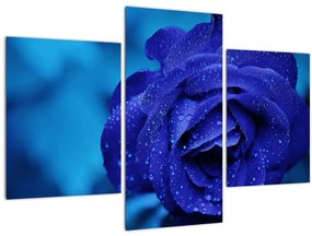 Tablou cu trandafir albastru (90x60 cm)