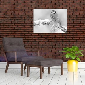 Tablou pe sticlă - O pasăre pe o creangă (70x50 cm)