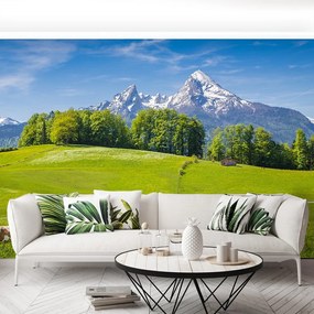 Fototapet Alpi Cow