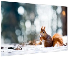 Tablou - Veveriță (90x60 cm)