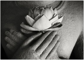 Tablou - Lotus în mâinile lui Buddha (70x50 cm)