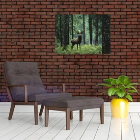 Tablou - Cerb în pădurea adâncă (70x50 cm)